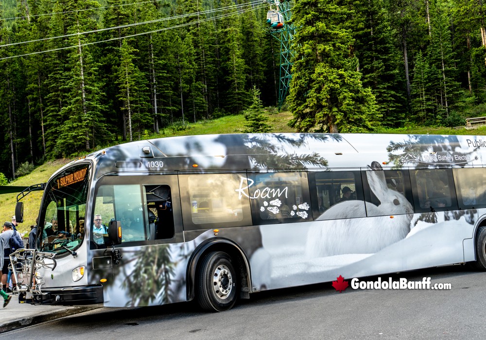 Roam Transit to the Gondola