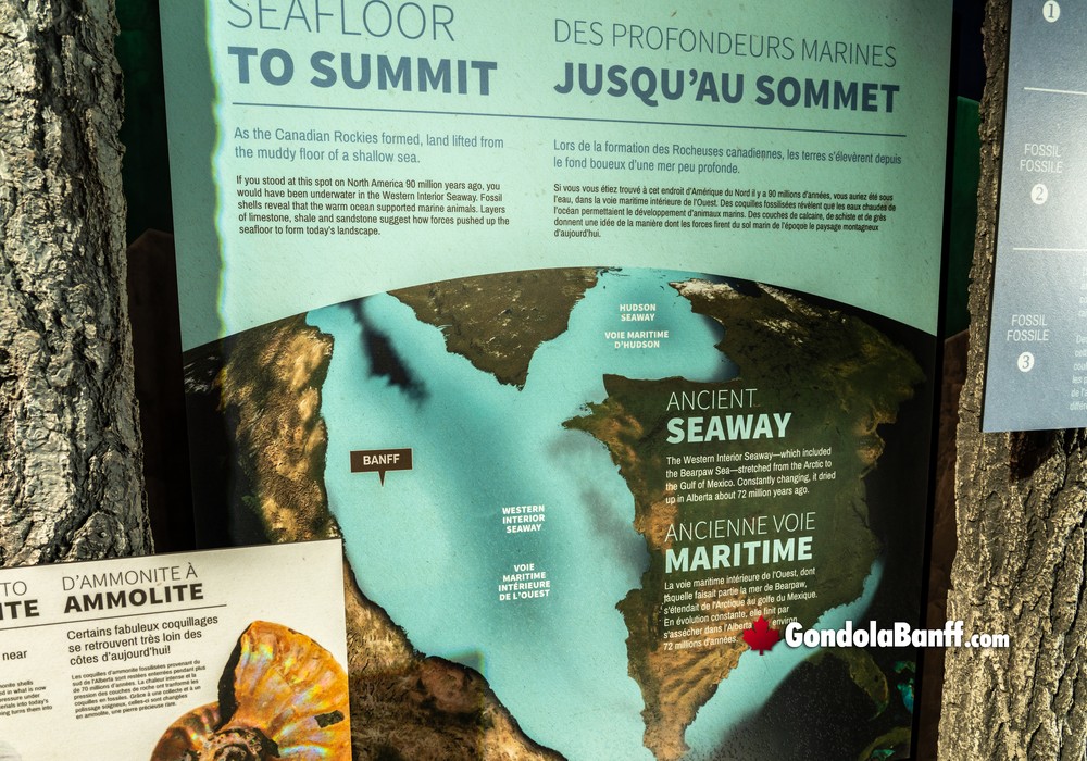 Seafloor to Summit