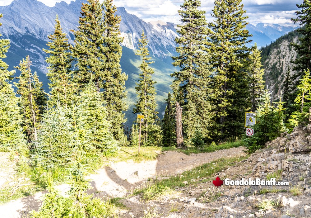 Summit Hike
