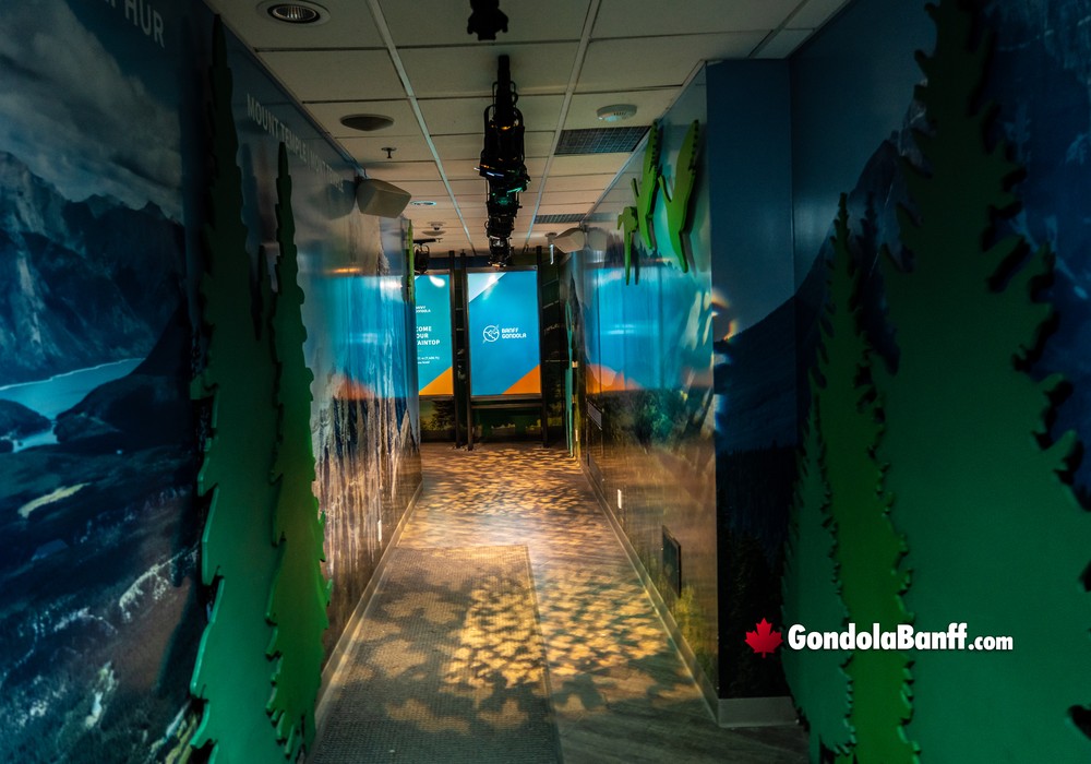 Top Terminal Entrance Exhibit Hallway