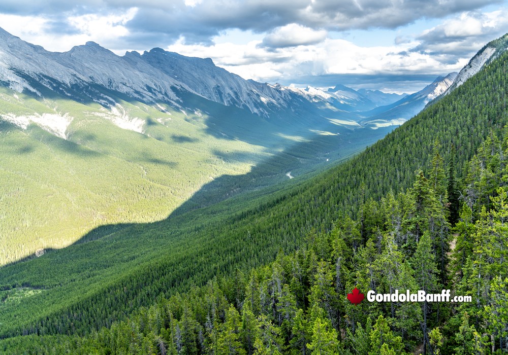 Valley Views Up