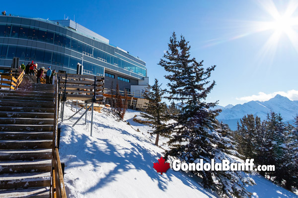Banff Gondola Nightrise Winter Star Gazing, Aurora, Shows and Dazzling Lights